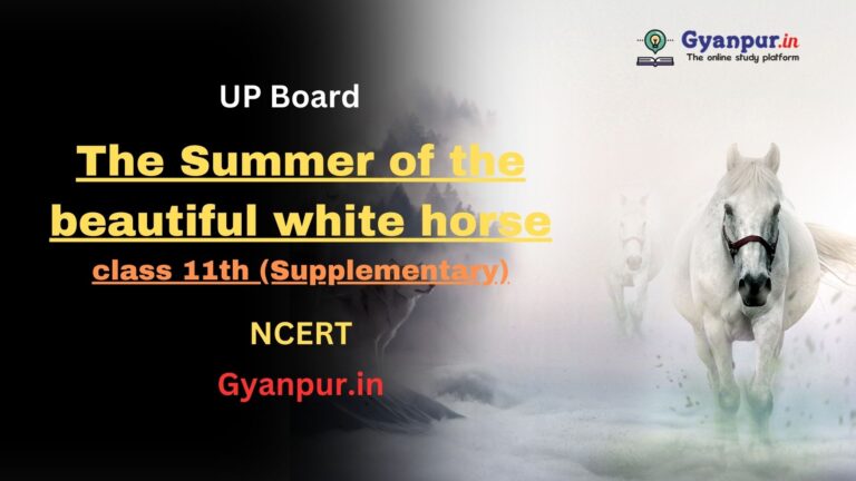 the summer of the beautiful white horse | Class-11th Supplementery | NCERT | UP Board | Best Questions and Answers